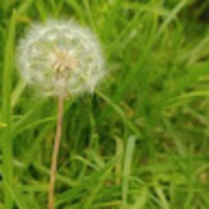 Meet your Posher, Vishaka